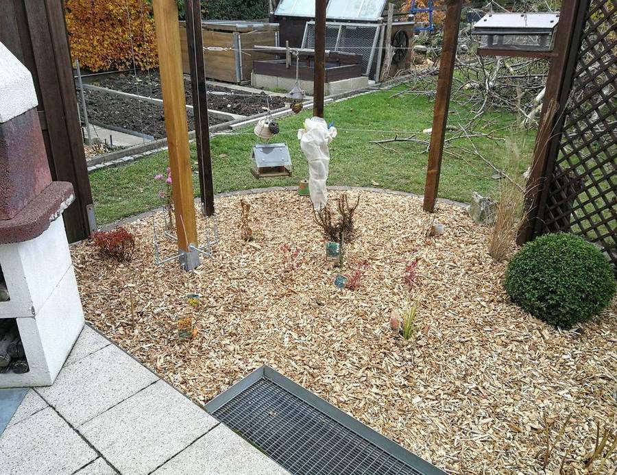 Neu bepflanztes Beet mit Hackschnitzeln an einer Pergola